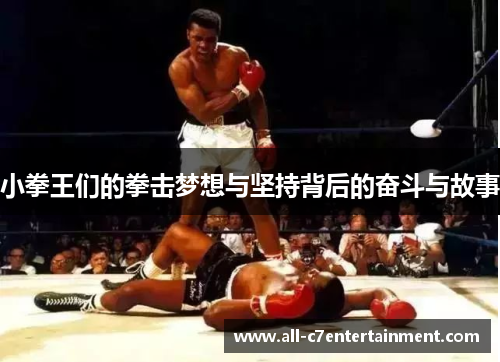 小拳王们的拳击梦想与坚持背后的奋斗与故事