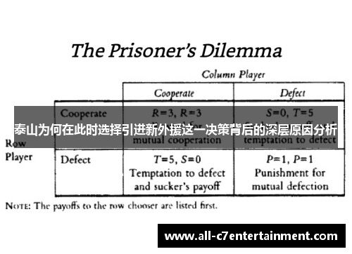 泰山为何在此时选择引进新外援这一决策背后的深层原因分析