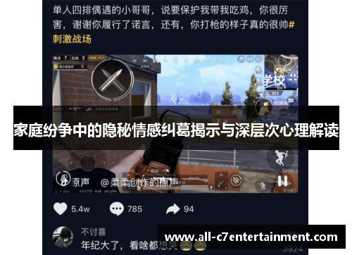 家庭纷争中的隐秘情感纠葛揭示与深层次心理解读