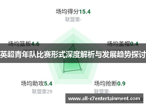 英超青年队比赛形式深度解析与发展趋势探讨