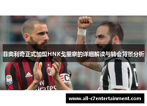 菲奥利奇正式加盟HNK戈里察的详细解读与转会背景分析