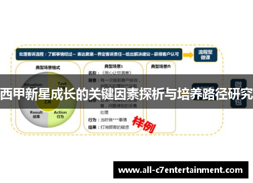 西甲新星成长的关键因素探析与培养路径研究