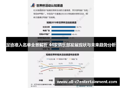 足协准入名单全景解析 44家俱乐部发展现状与未来趋势分析