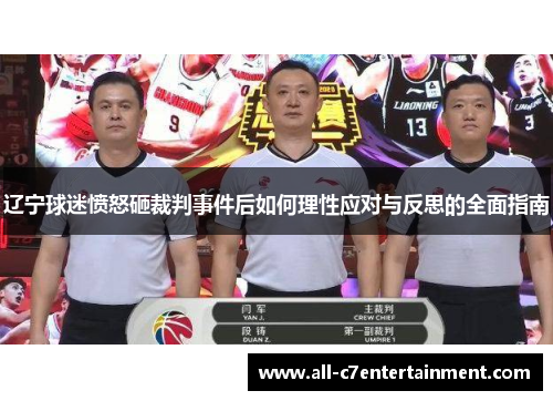 辽宁球迷愤怒砸裁判事件后如何理性应对与反思的全面指南