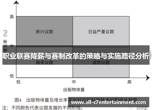 职业联赛降薪与赛制改革的策略与实施路径分析