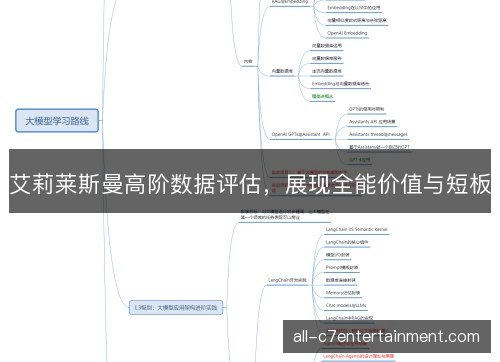 艾莉莱斯曼高阶数据评估，展现全能价值与短板